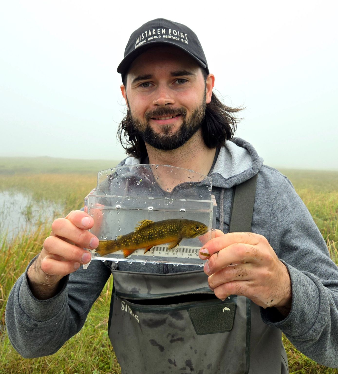 Anthony Arsenault Anthony Arsenault