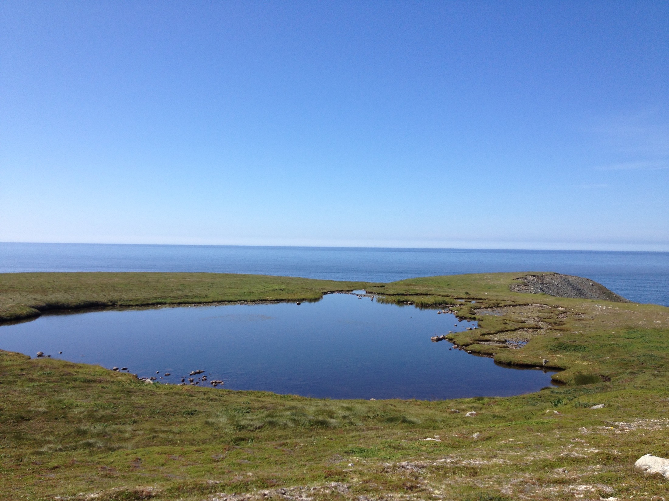 Cape Race